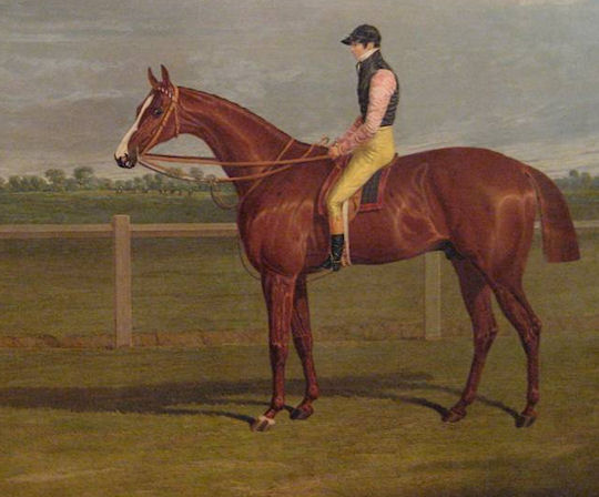 St Leger Winners: St Leger Winner 1828: The Colonel